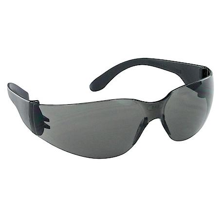 Safety Glasses, Gray Lens