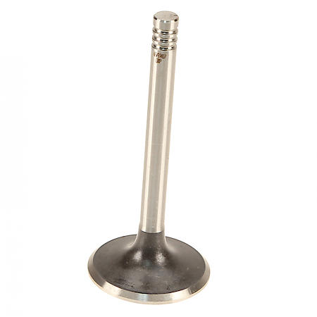 Federal Mogul Intake Valve